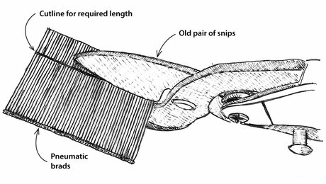 Trimming Your Trim Nails