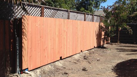 Image of a wood fence in a backyard